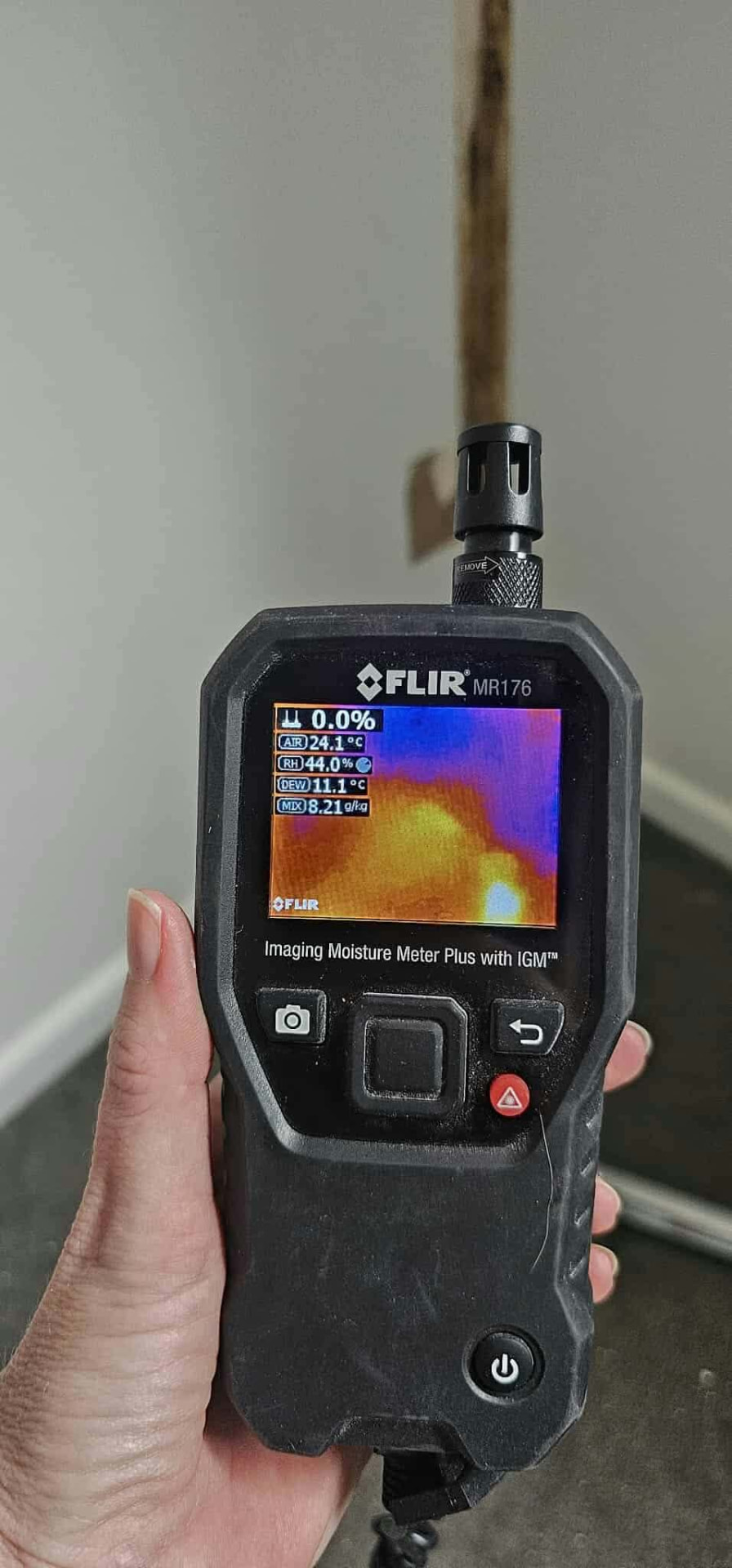 Thermal imaging moisture meter being used during a mould inspection