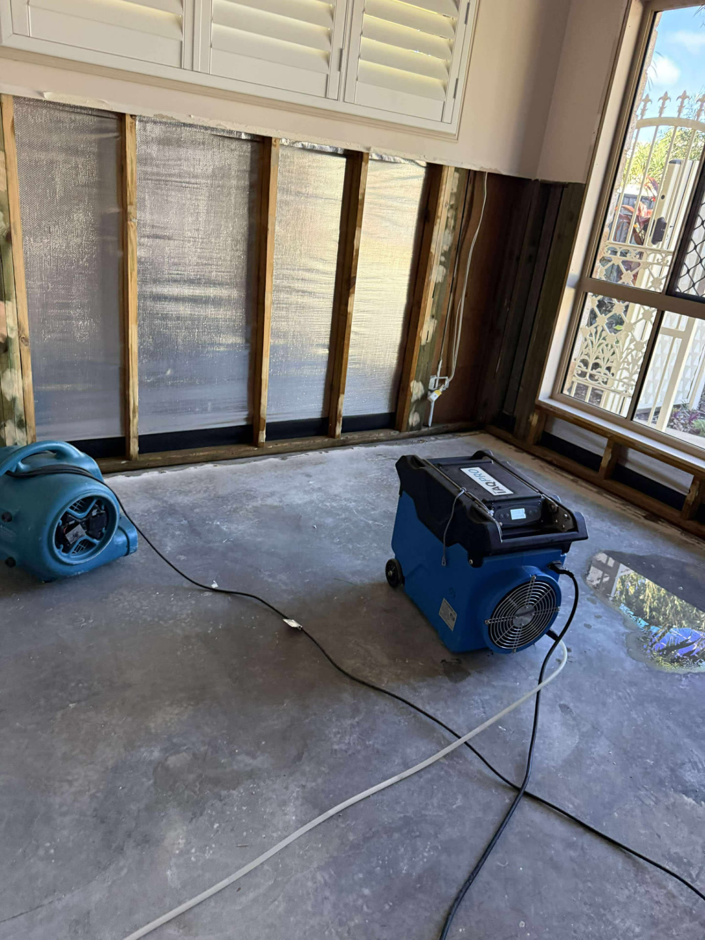Hygienist & Clearance Testing: Frame drying after strip-out — Gold Coast homeowners and insurance builders