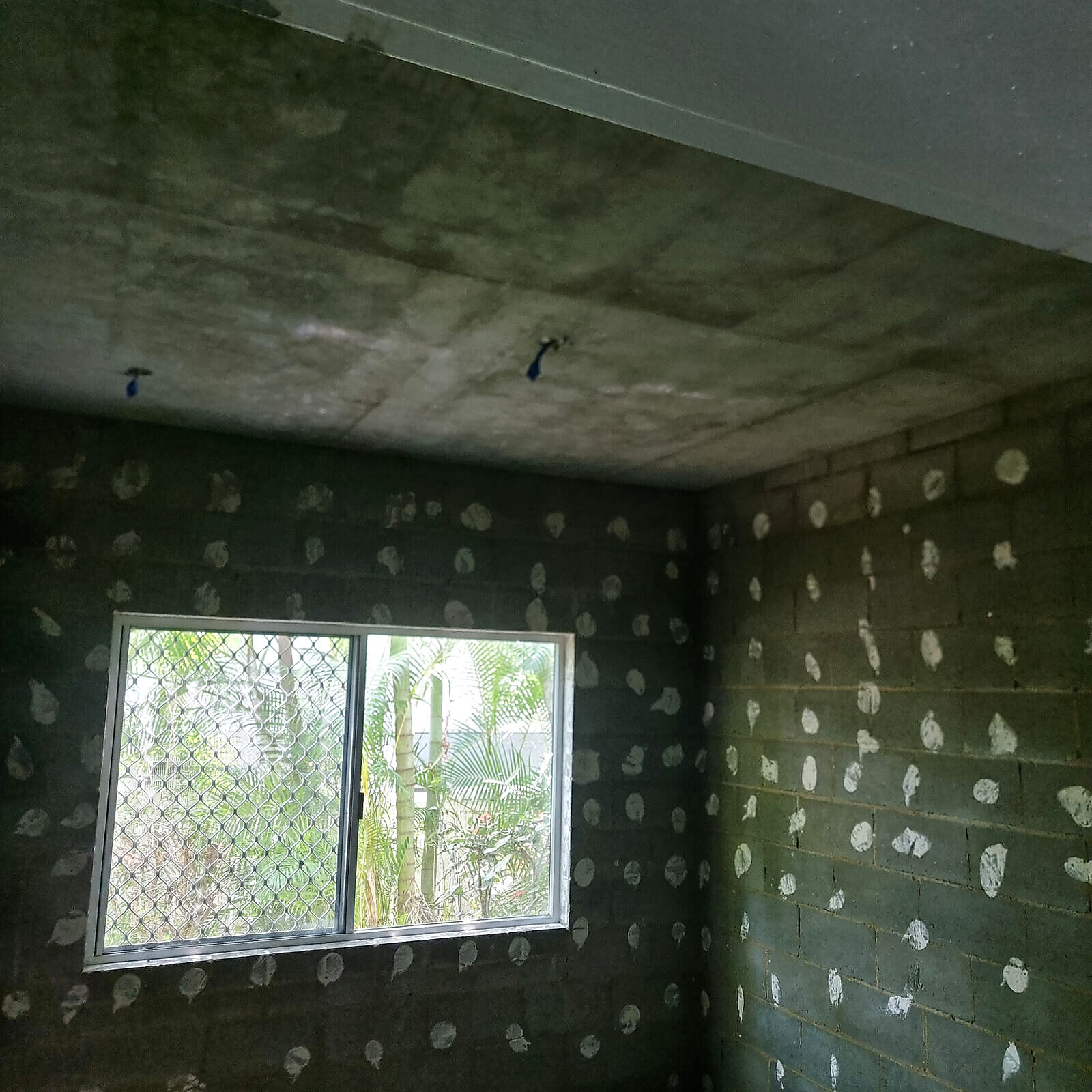 Ceiling mould treatment for homeowners and insurance builders, Gold Coast